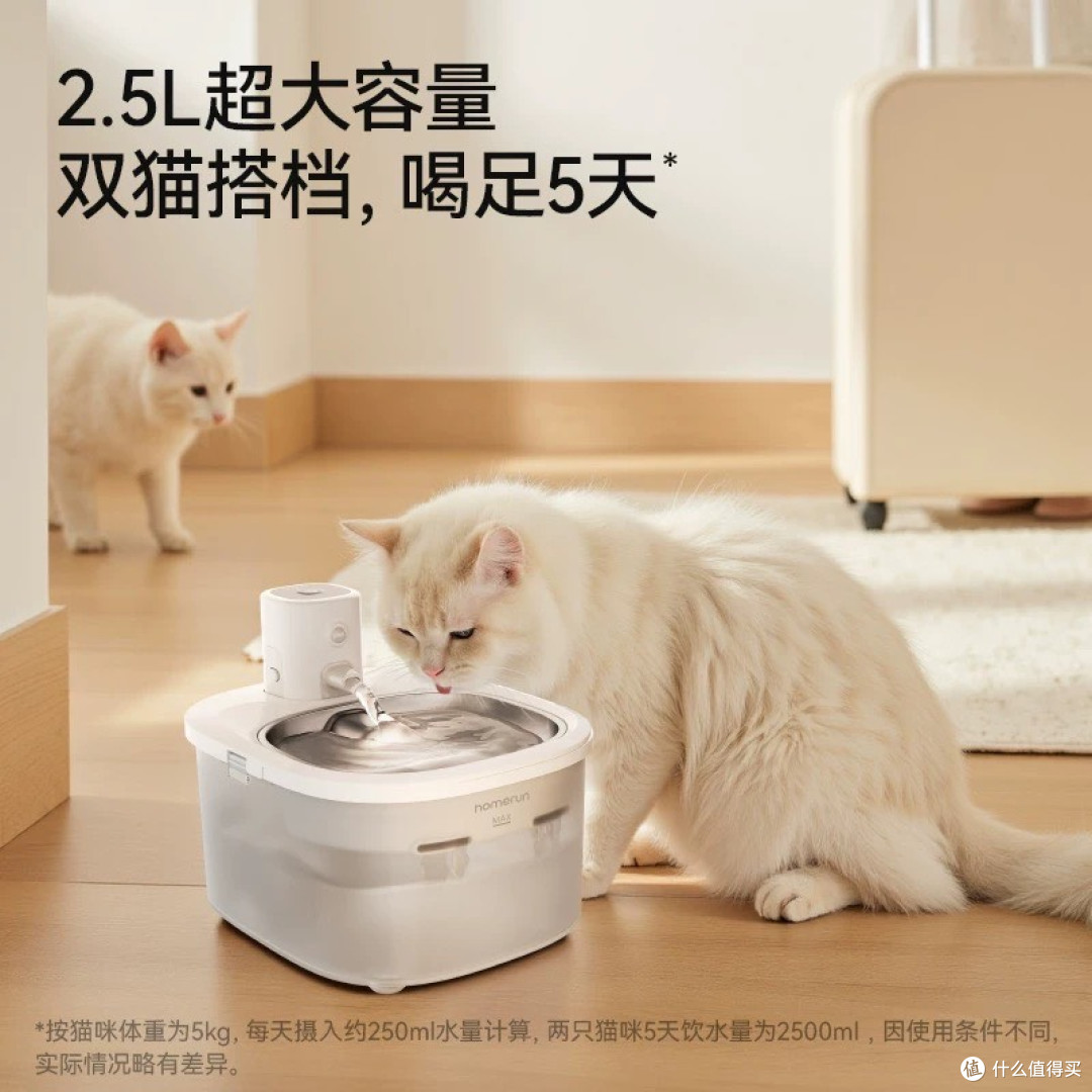 恒温过滤系统适合猫咪饮水