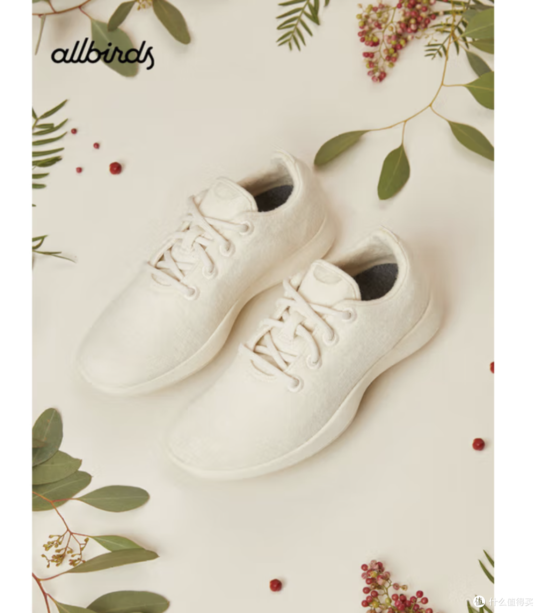 Allbirds羊毛鞋休闲鞋Wool Runner舒适轻便跑鞋低帮运动鞋男
