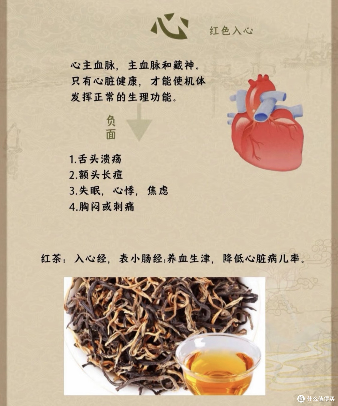 茶与五脏六腑—你知道茶和五脏的关系吗❓❗️