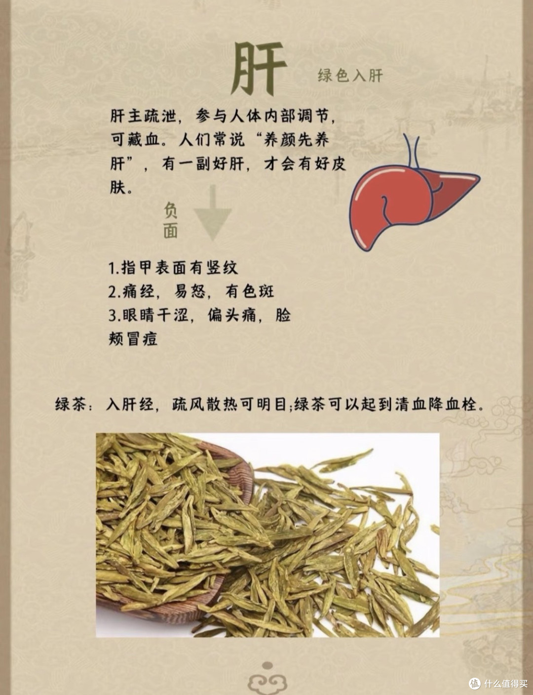 茶与五脏六腑—你知道茶和五脏的关系吗❓❗️