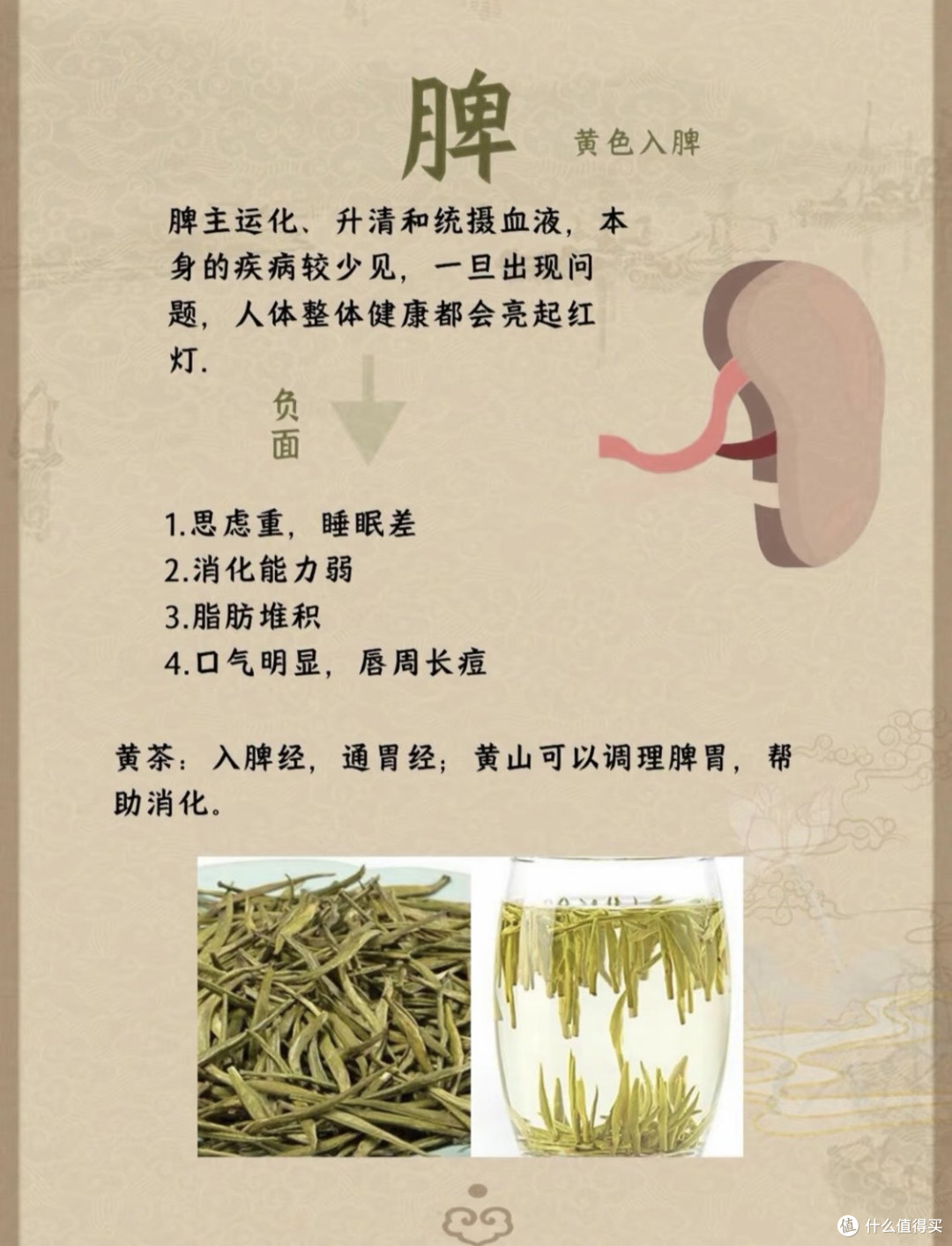 茶与五脏六腑—你知道茶和五脏的关系吗❓❗️