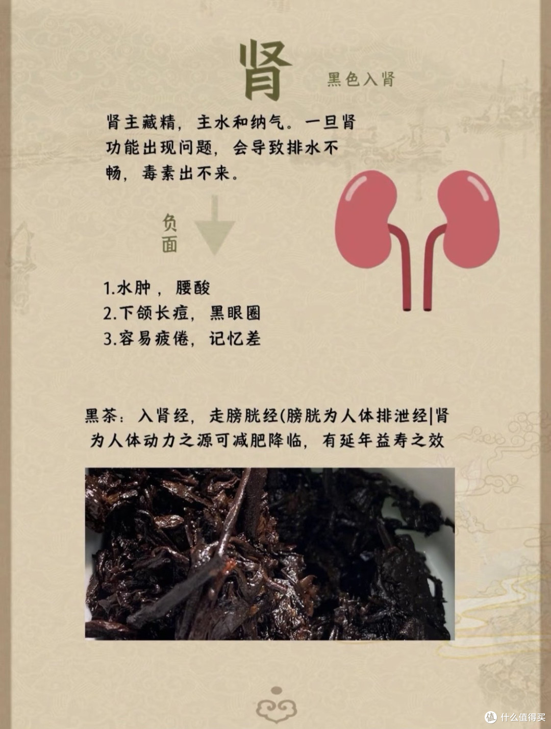 茶与五脏六腑—你知道茶和五脏的关系吗❓❗️
