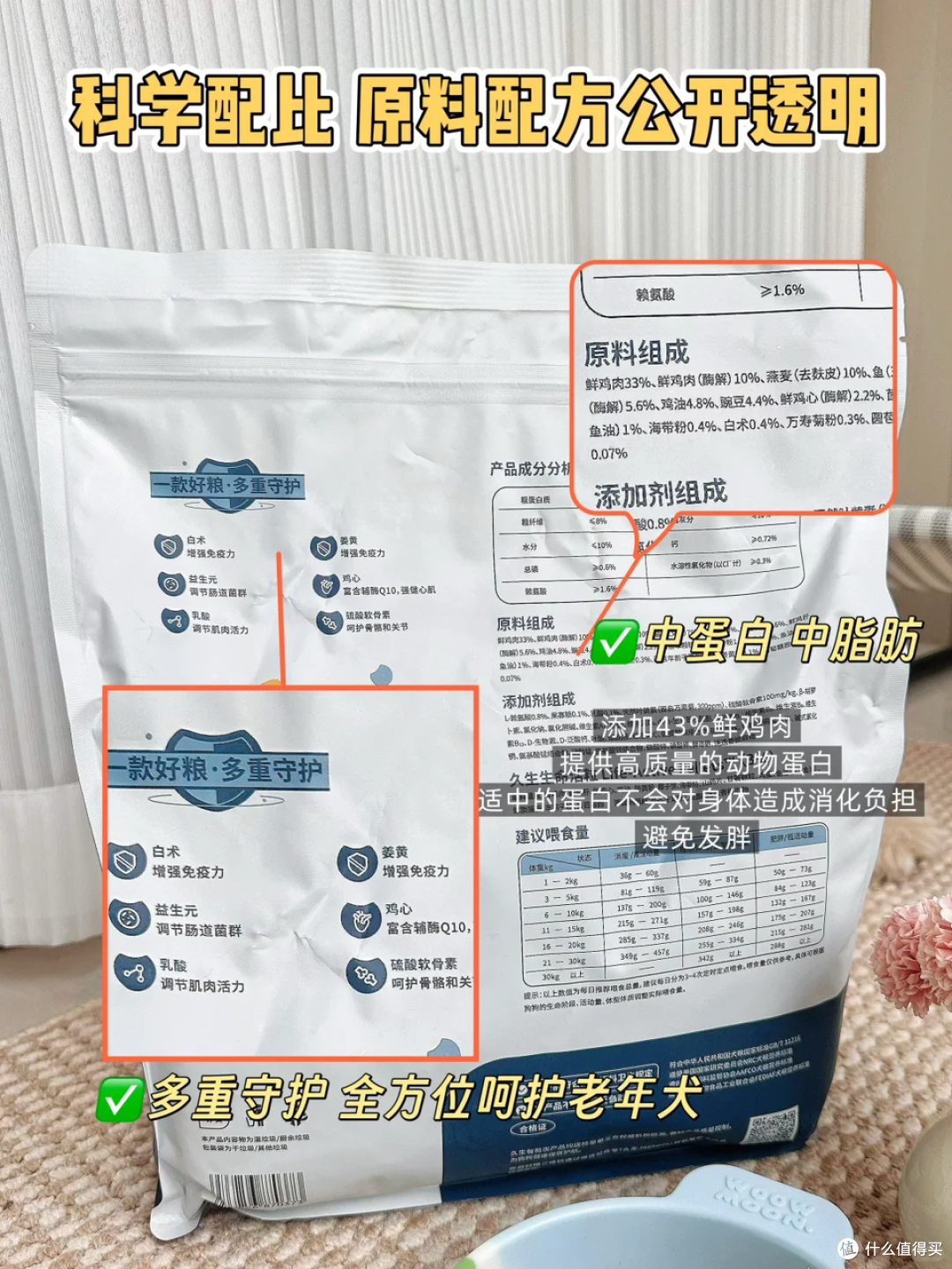 3000万只毛孩子正步入老年:一场关于爱与陪伴的“养老革命”