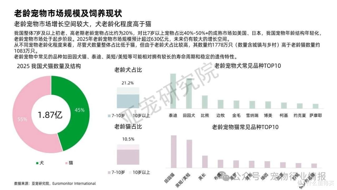 3000万只毛孩子正步入老年:一场关于爱与陪伴的“养老革命”