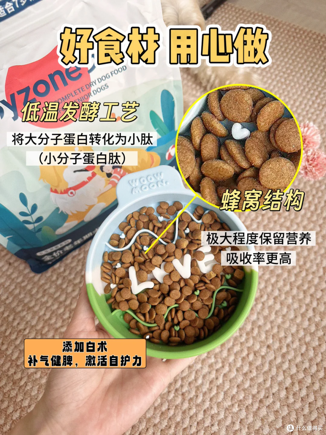 3000万只毛孩子正步入老年:一场关于爱与陪伴的“养老革命”