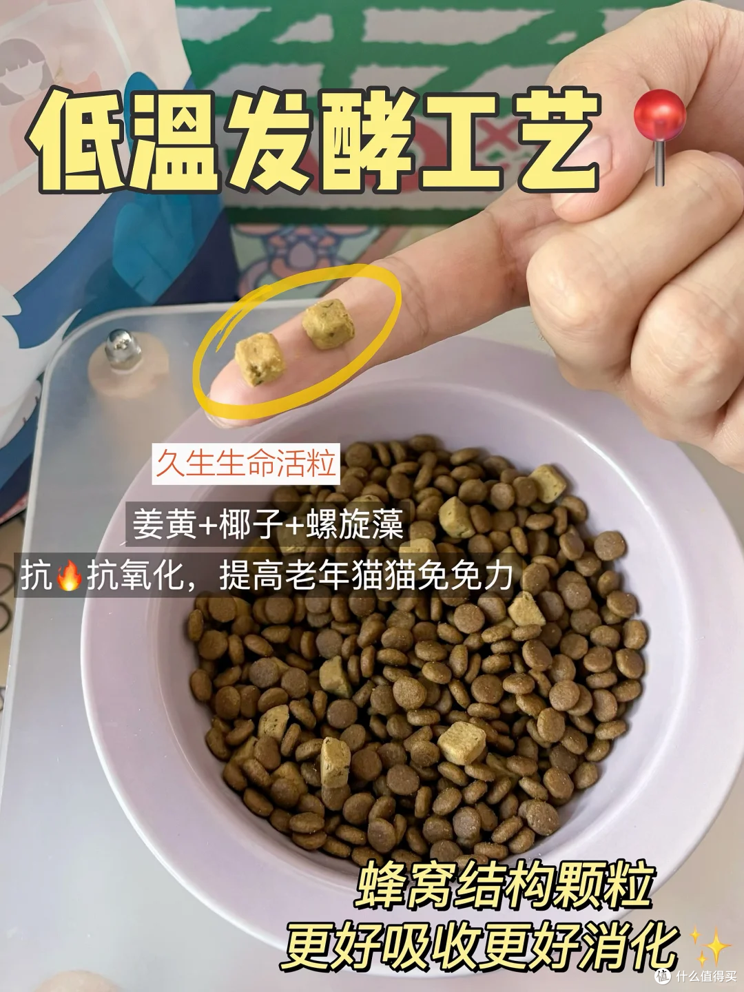 3000万只毛孩子正步入老年:一场关于爱与陪伴的“养老革命”