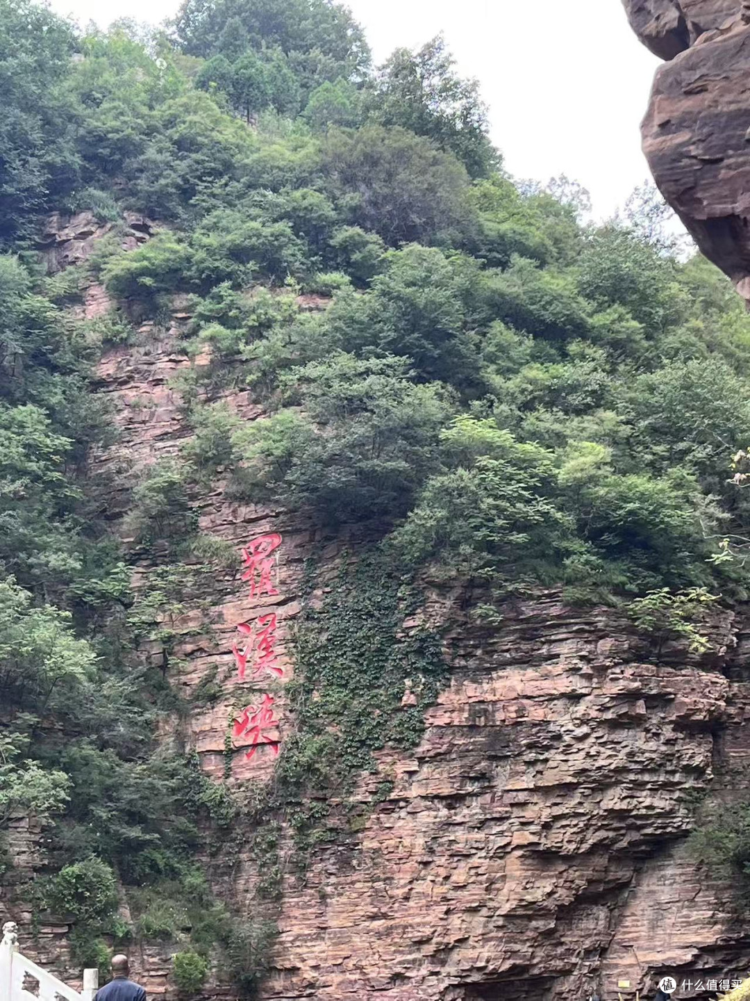 云絮收藏家