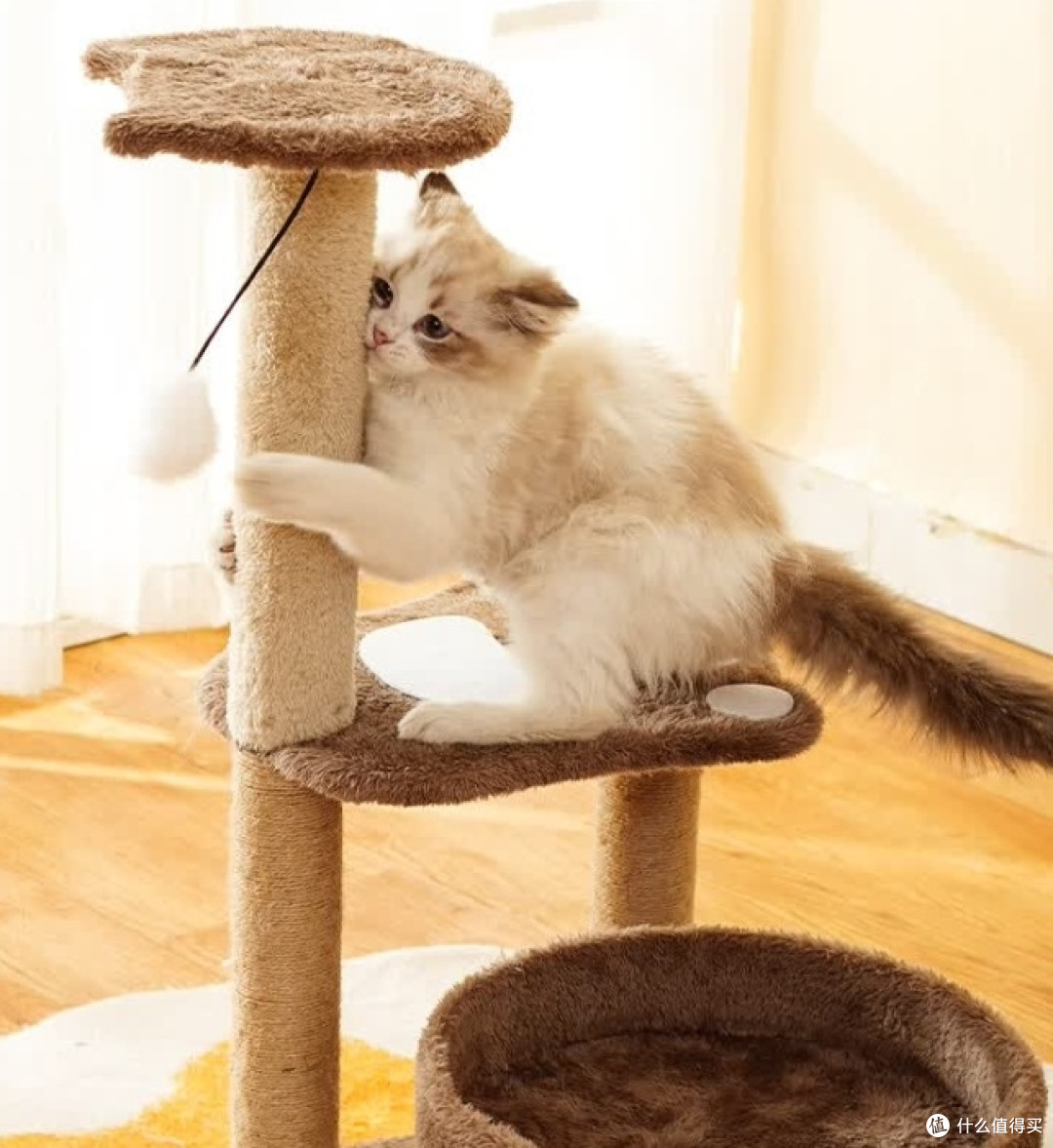 喵仙儿猫爬架,给猫咪打造梦幻游乐天堂
