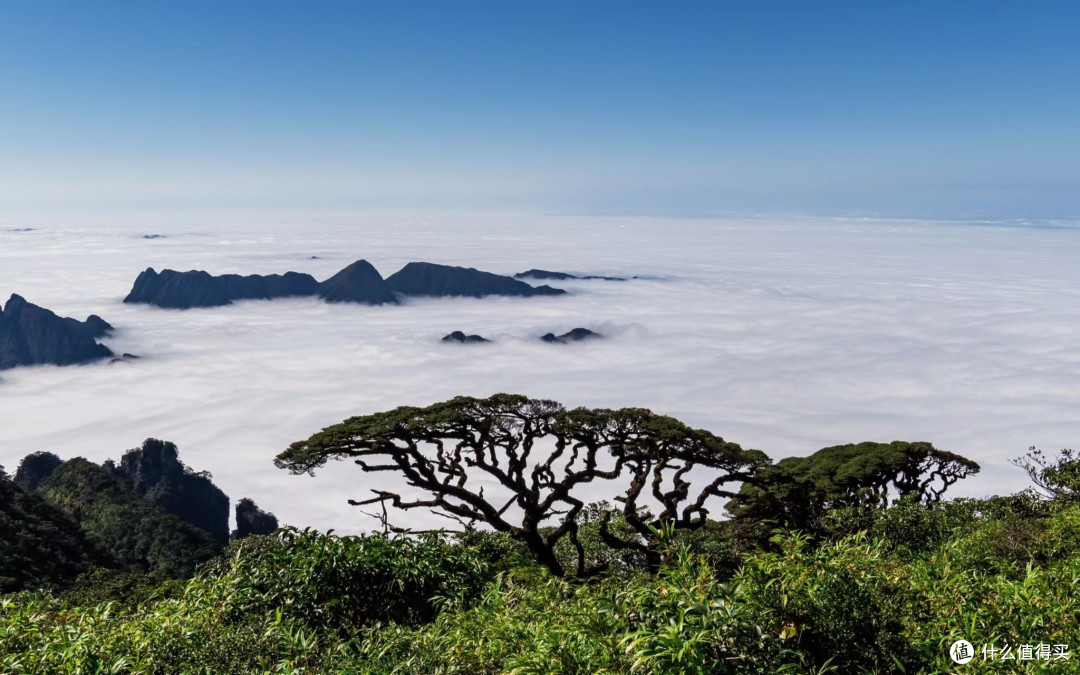 双十一圣堂山错峰游,云海杜鹃里邂逅瑶寨风情与省钱妙招