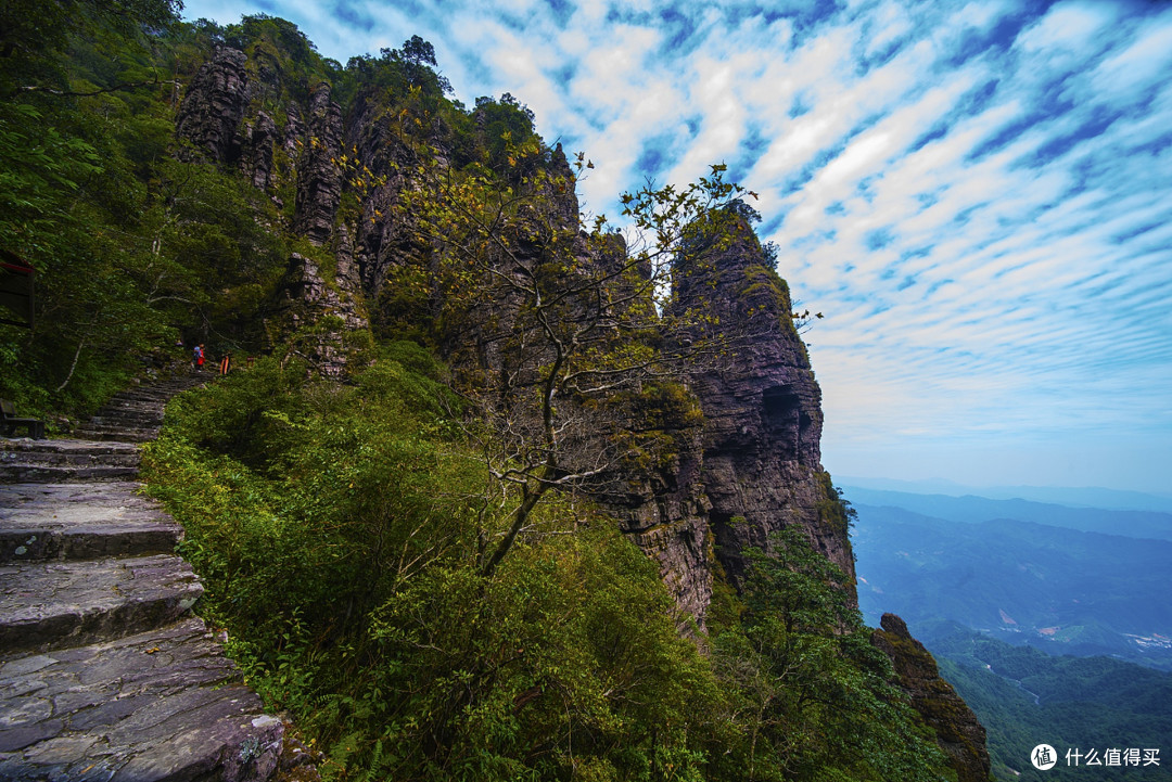 双十一圣堂山错峰游,云海杜鹃里邂逅瑶寨风情与省钱妙招
