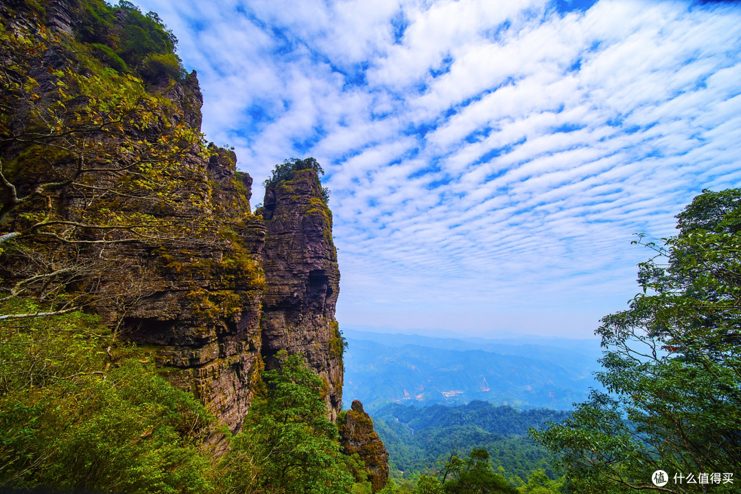 双十一圣堂山错峰游，云海杜鹃里邂逅瑶寨风情与省钱妙招