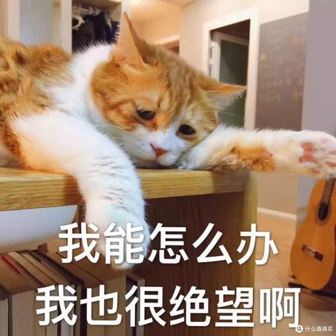 知道装修会踩坑,但没想到会有这么多坑啊!
