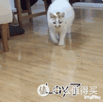 知道装修会踩坑,但没想到会有这么多坑啊!