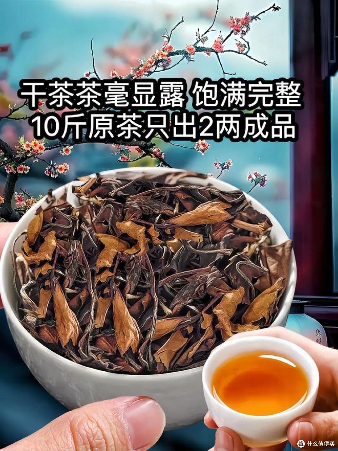 云南茶叶和福建茶叶的区别，茶友们进来看看！