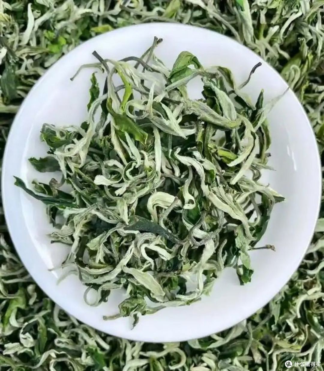 云南茶叶和福建茶叶的区别，茶友们进来看看！