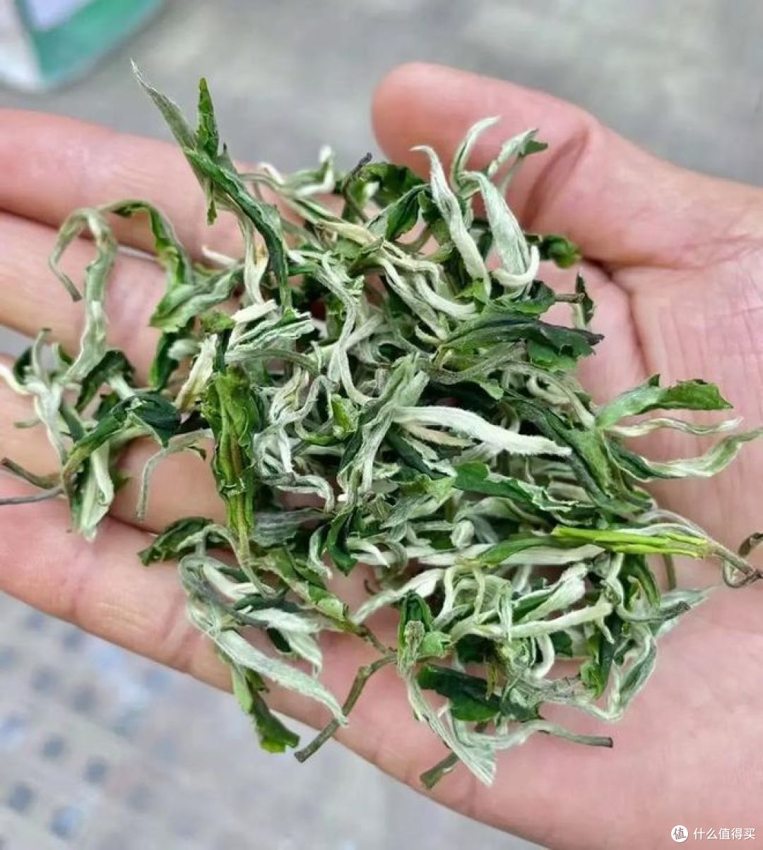 云南茶叶和福建茶叶的区别，茶友们进来看看！