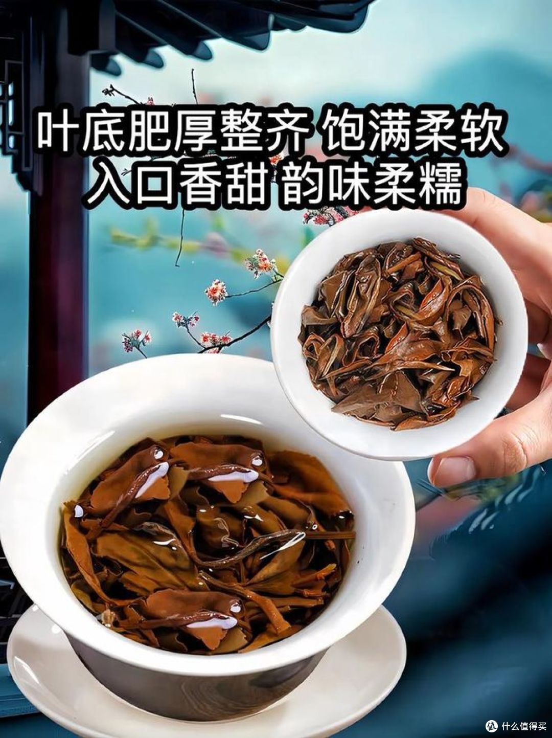 云南茶叶和福建茶叶的区别，茶友们进来看看！