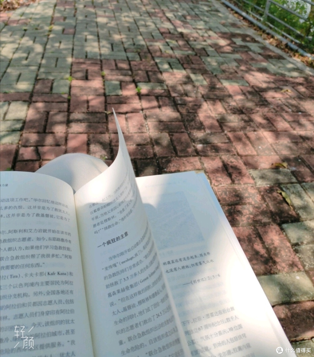 潜力作者成长记：分享你的创作历程，从灵感萌芽到作品完成的故事