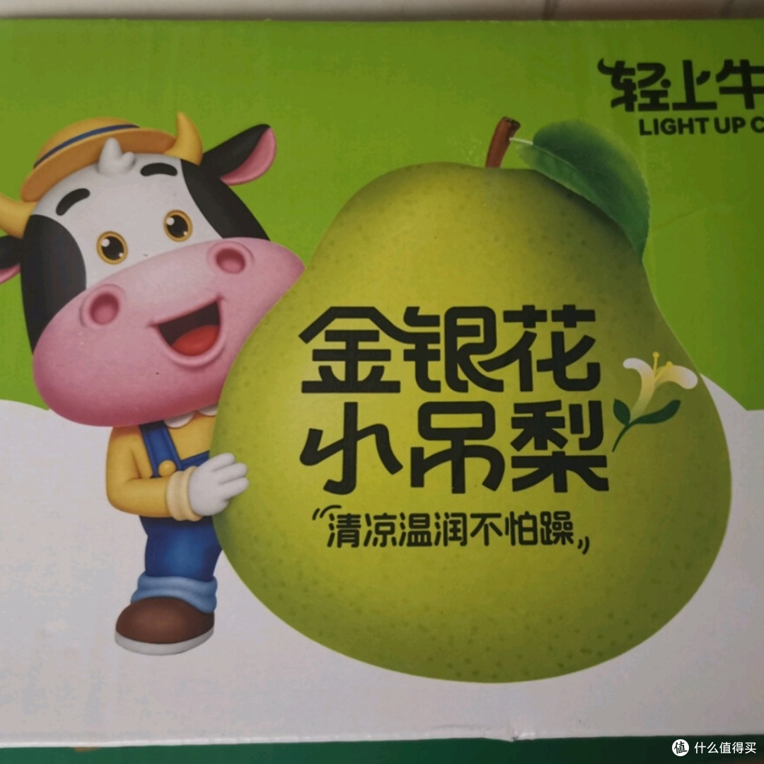 轻上金银花小吊梨,润肺止咳好帮手
