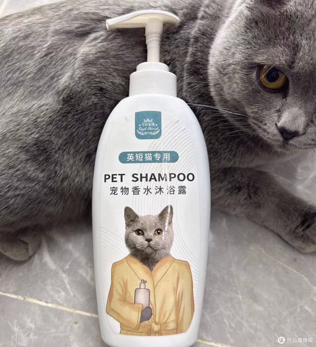 双十一猫粮使用体验,科学配比猫粮体验报告