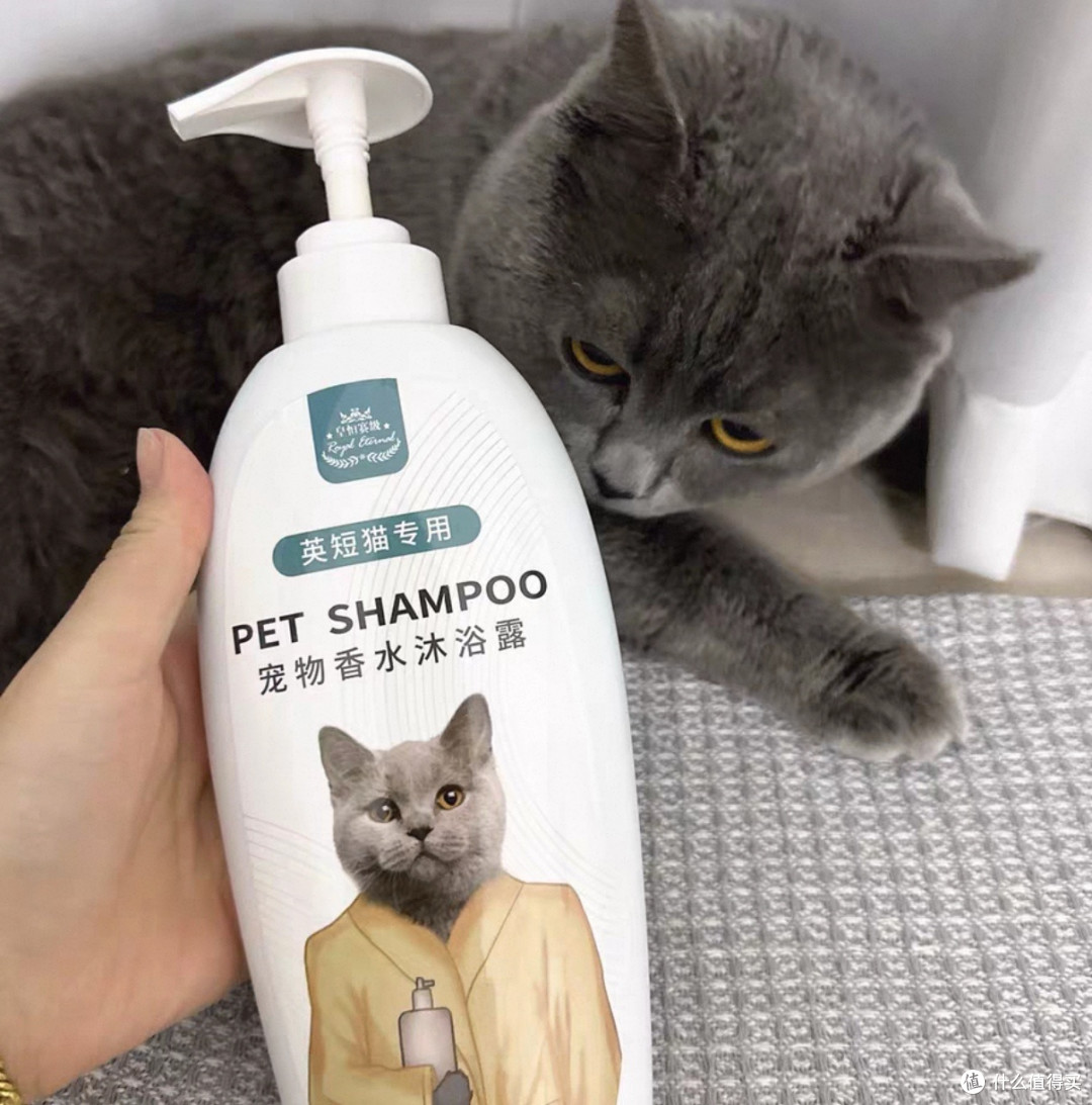 双十一猫粮使用体验,科学配比猫粮体验报告