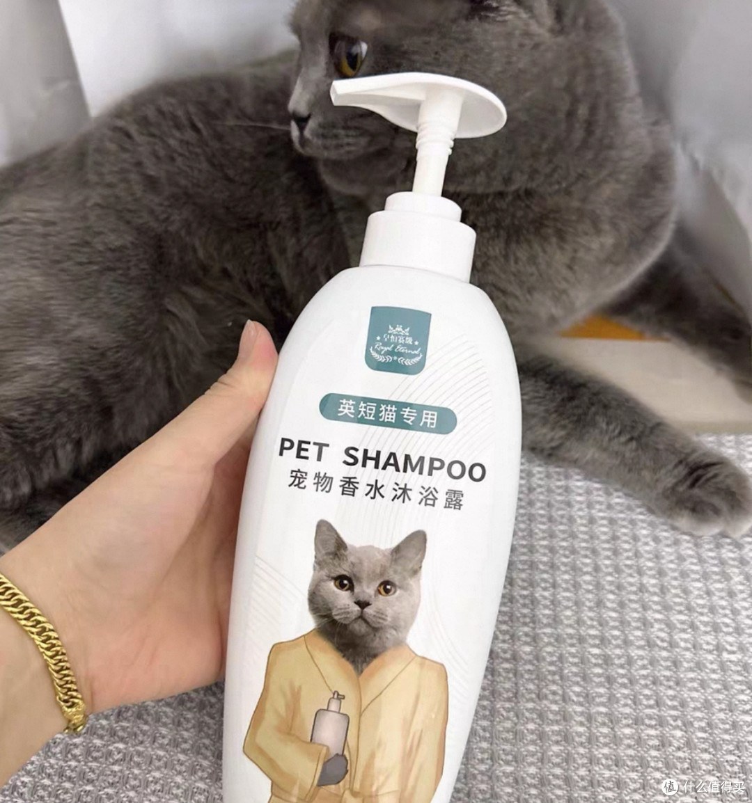 双十一猫粮使用体验,科学配比猫粮体验报告