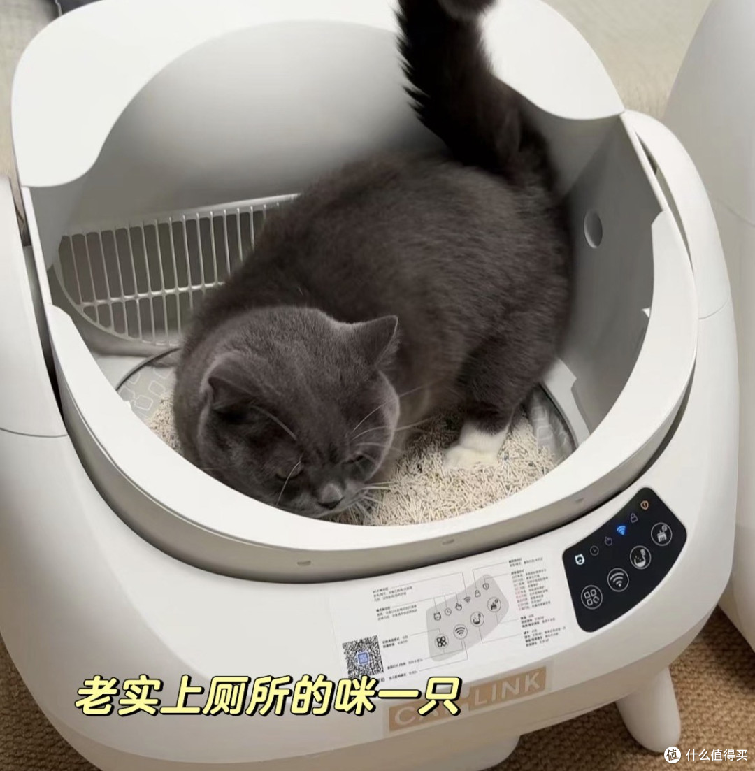 CATLINK胖宝自动猫砂盆实测:科技解放铲屎官的双手