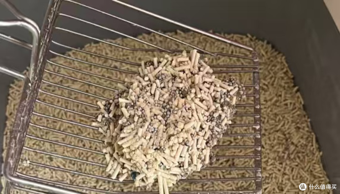 对一个猫砂一见钟情啦!