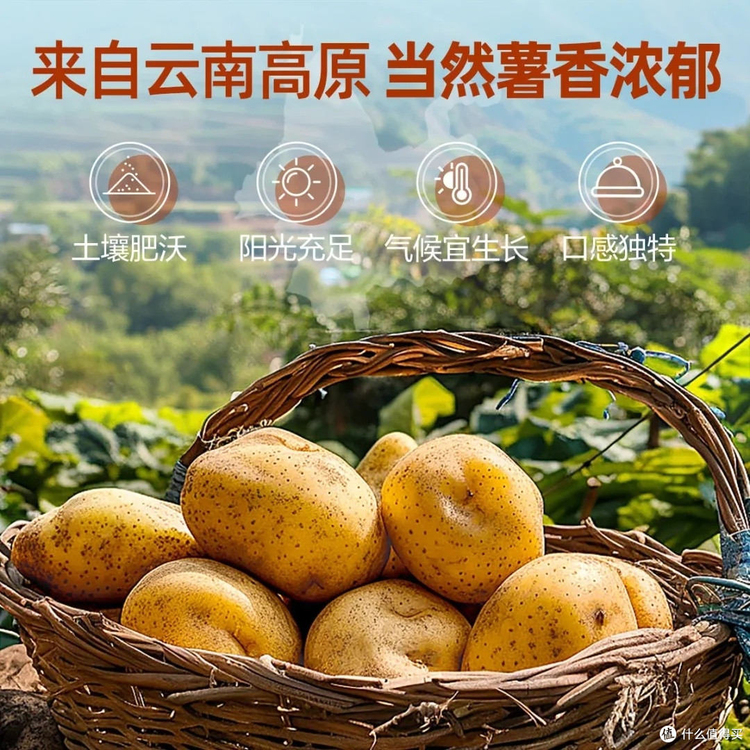 高原土豆片:双十一必囤健康零食