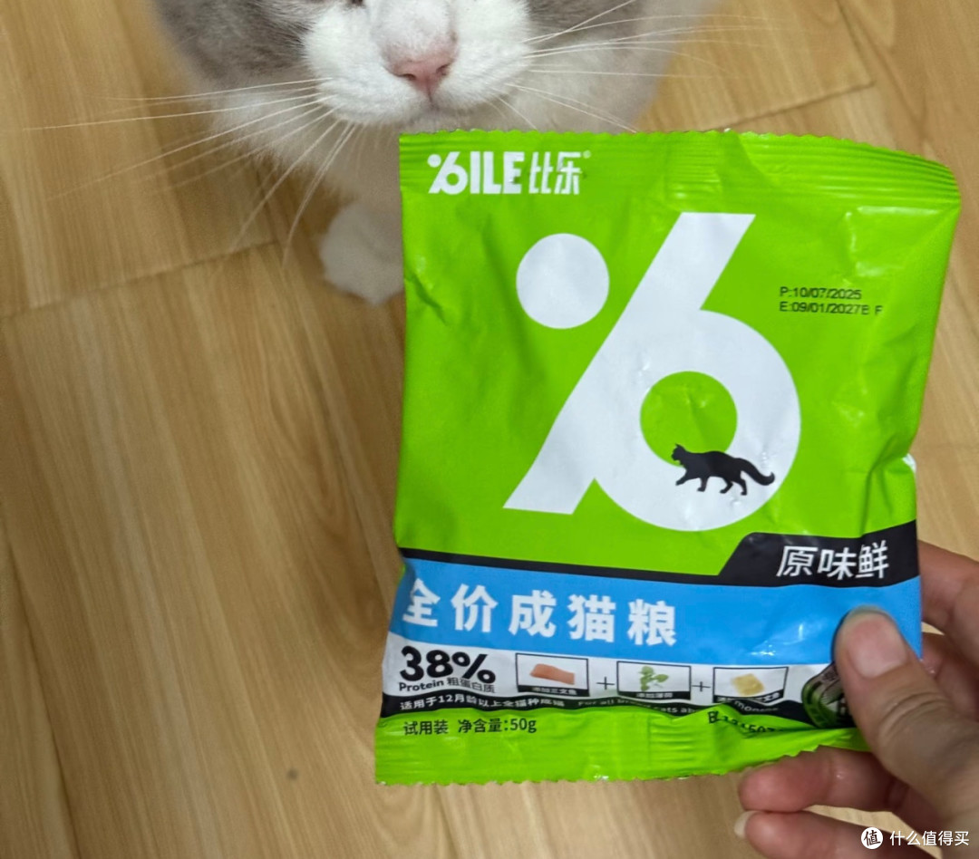 猫主子对新猫粮表现出极大兴趣
