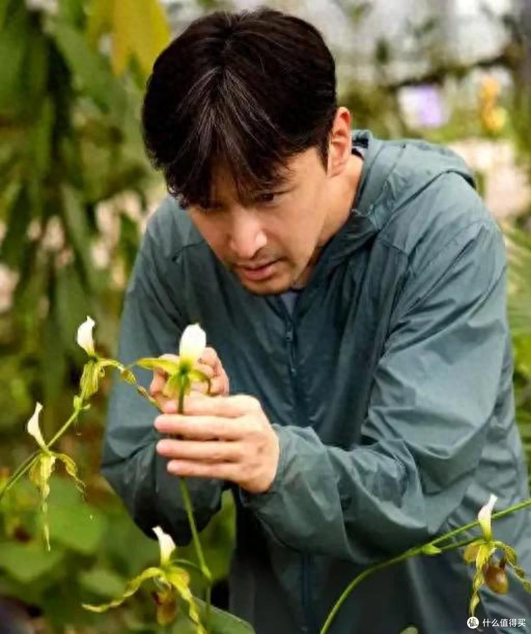 胡歌劝退朋友养兰花:“这3点都不知道,还是别养了吧”,好真实