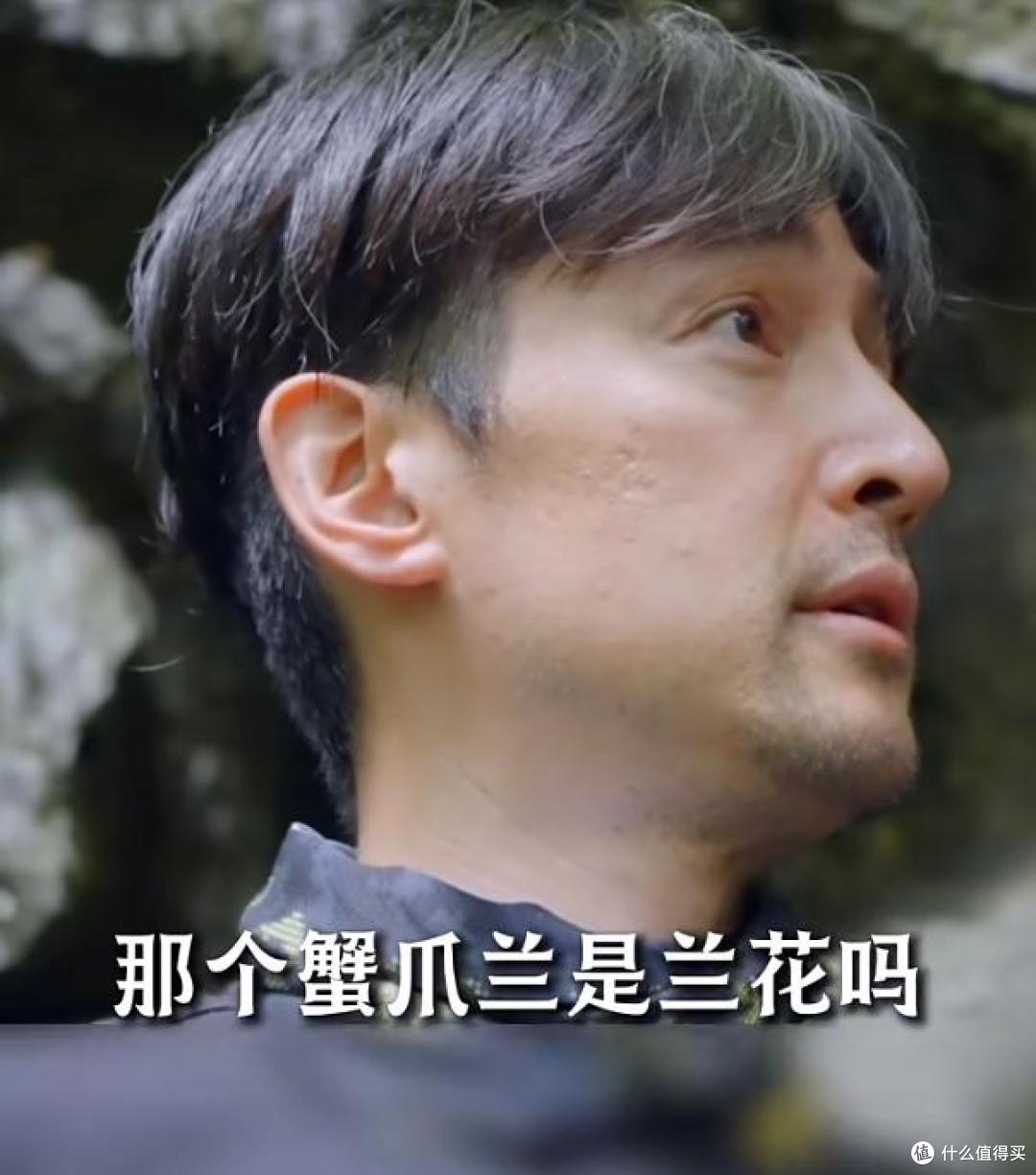 胡歌劝退朋友养兰花:“这3点都不知道,还是别养了吧”,好真实