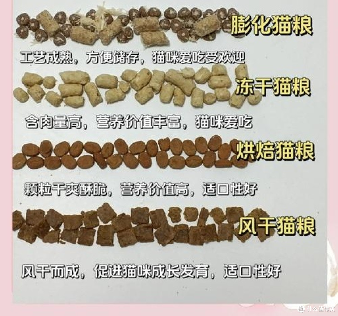 双11宠物食品大促,如何挑选营养又实惠的猫粮狗粮?