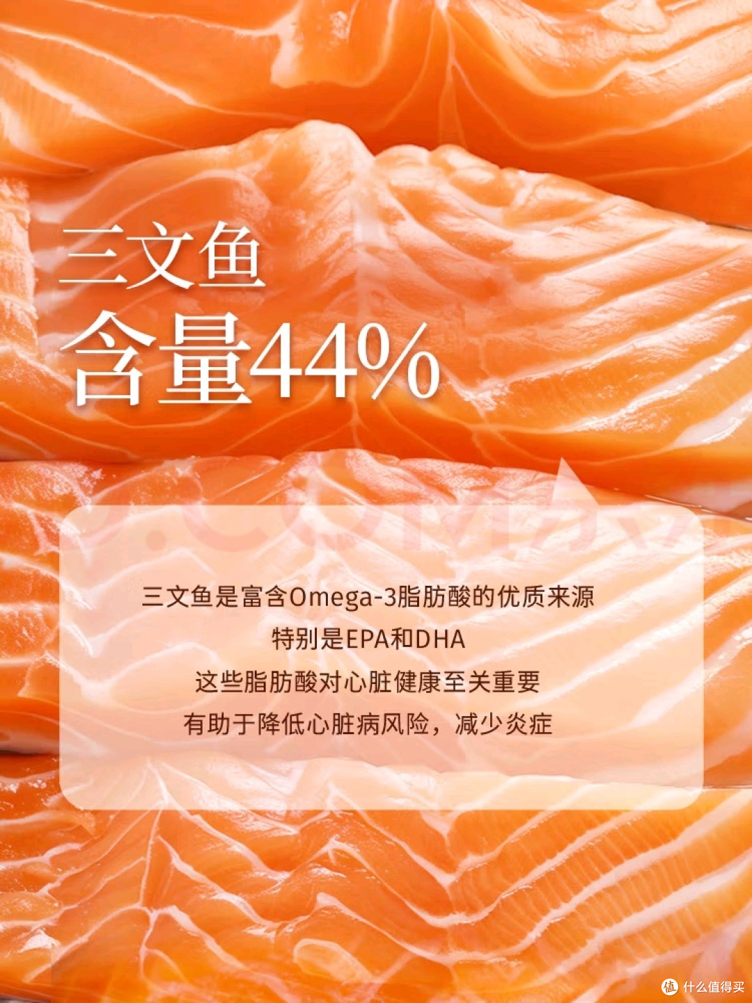 低敏配方与贴心分装设计的狗粮