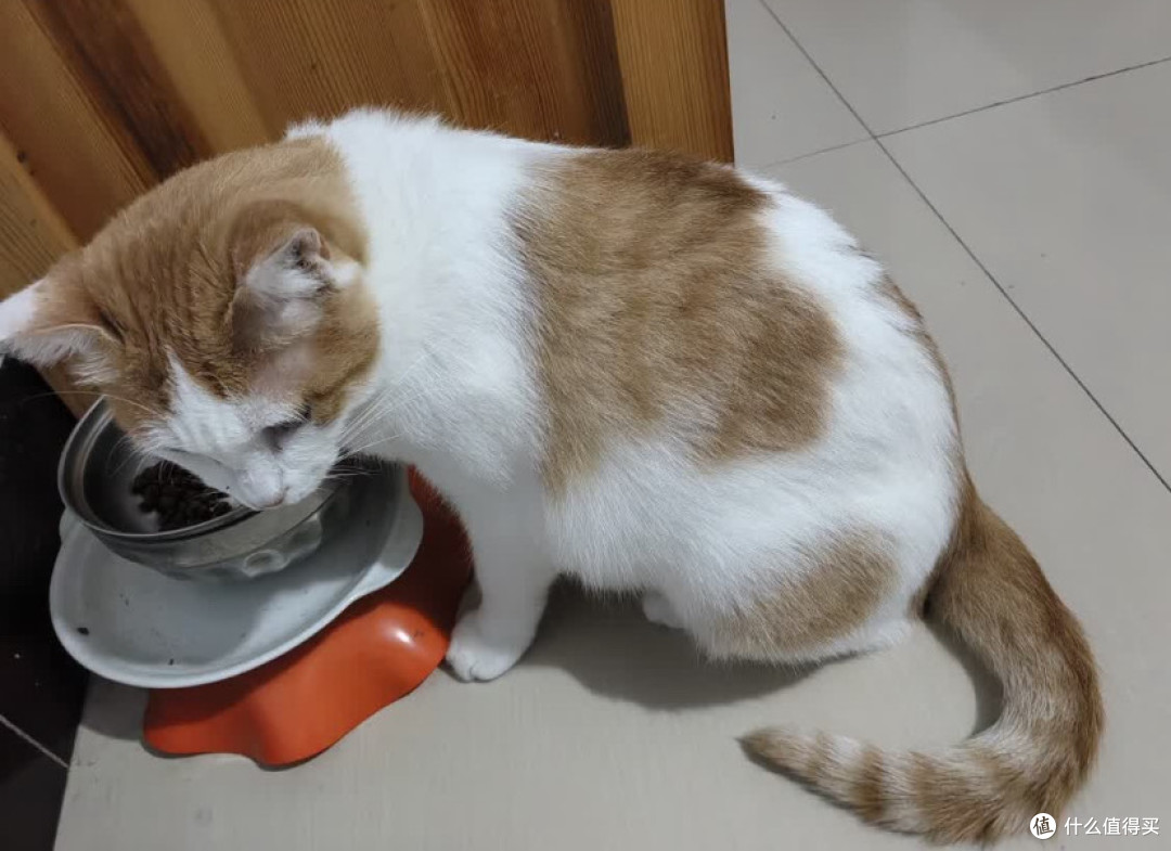 双11宠物粮选购指南:营养与实惠兼得,麦富迪藻趣儿成猫粮优选。