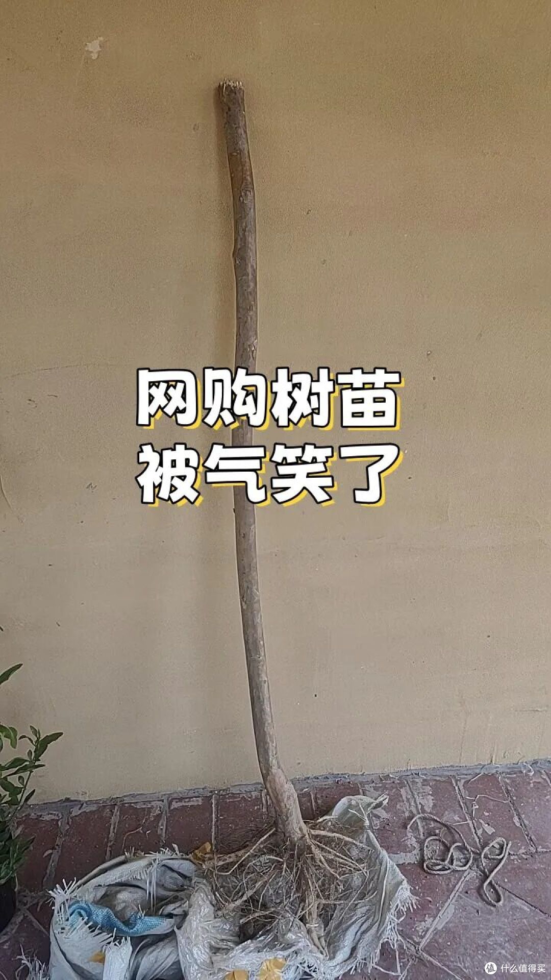 5种家用物品“良心坏透”了,它们专坑中国人,劝你别再当冤种了