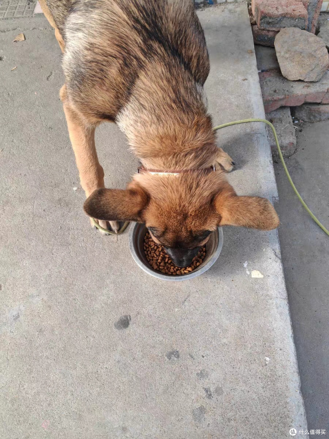 双十一通用犬粮推荐：凯锐思品牌