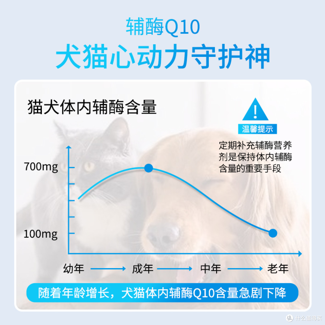 别等心衰才后悔!老年猫狗心脏守护,呢伽辅酶 Q10 是关键