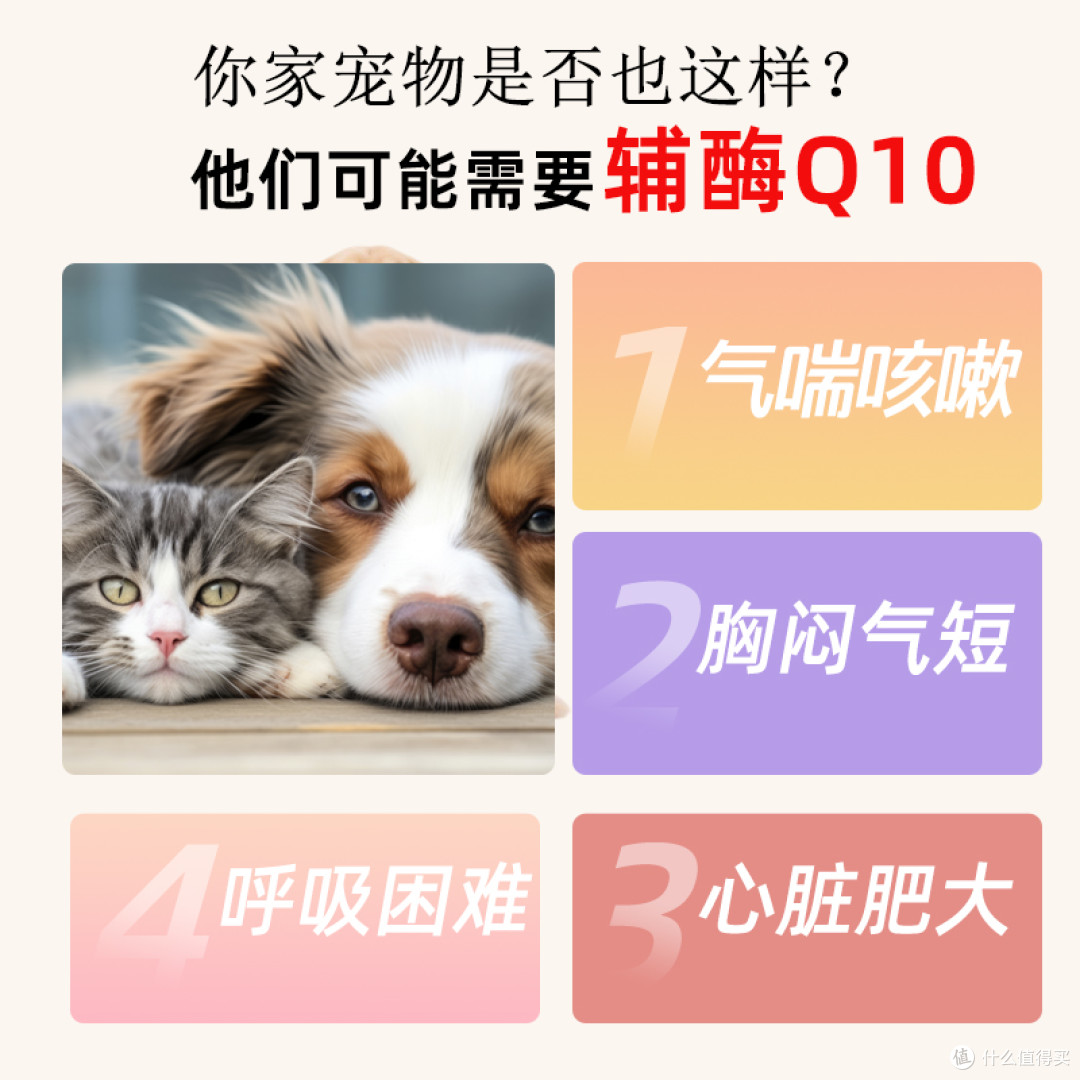 别等心衰才后悔!老年猫狗心脏守护,呢伽辅酶 Q10 是关键