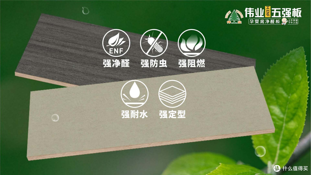 无机生态胶开挂!伟业五强板5大功能,家装惊喜藏不住