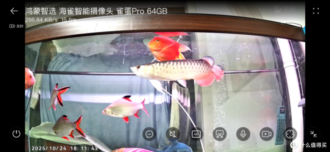 双11买智能家用摄像头别瞎选，从需求出发，我选了华为海雀PRO