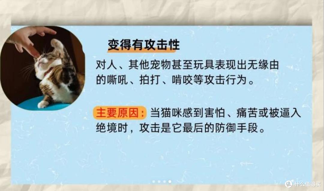 猫咪有这4种行为,暗示它并“不开心”!