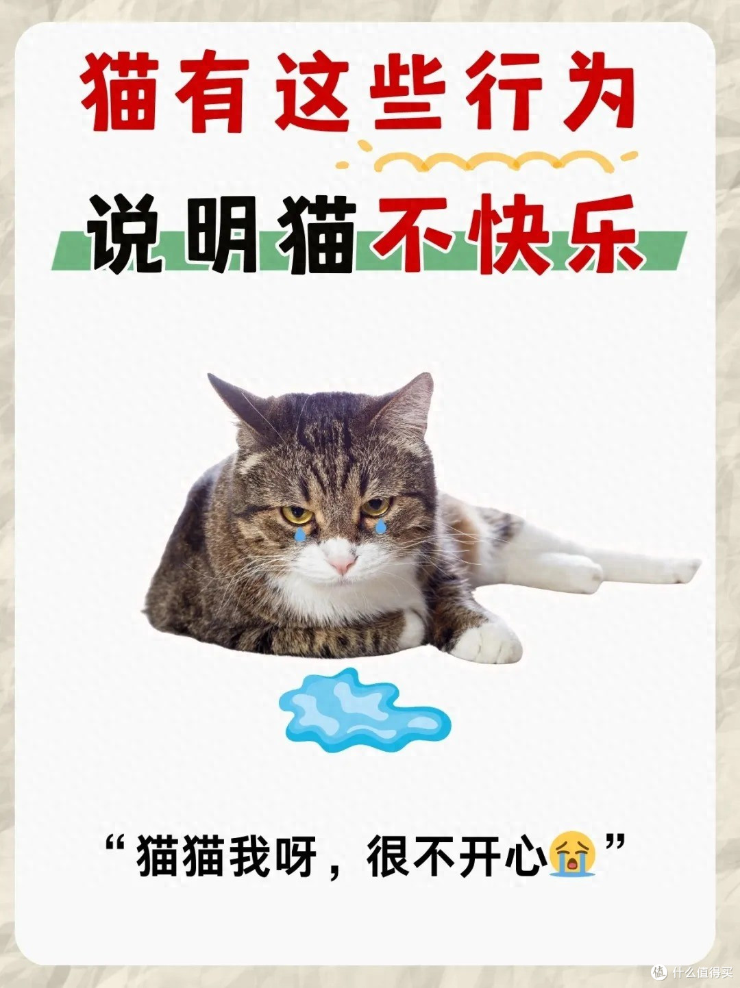 猫咪有这4种行为,暗示它并“不开心”!