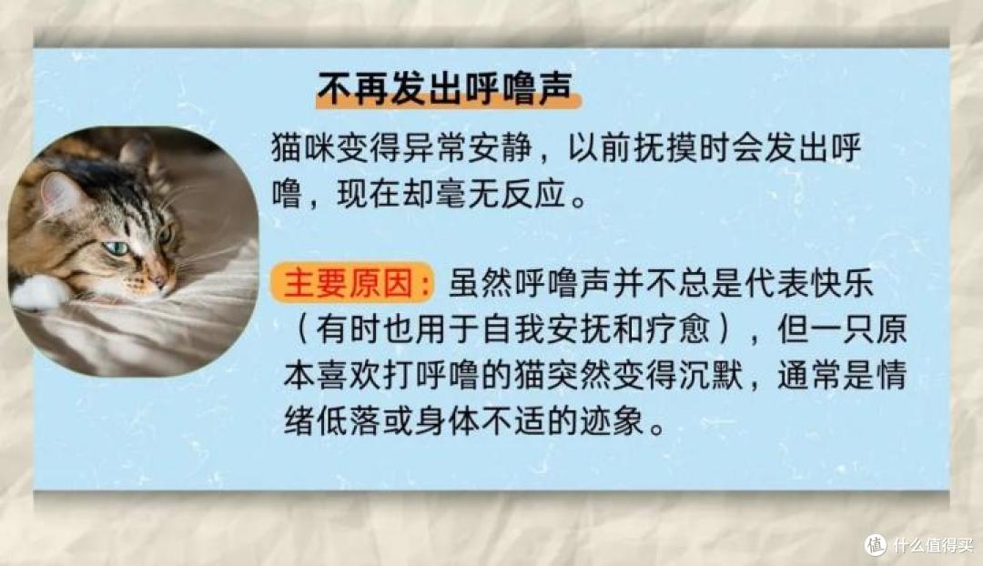猫咪有这4种行为,暗示它并“不开心”!