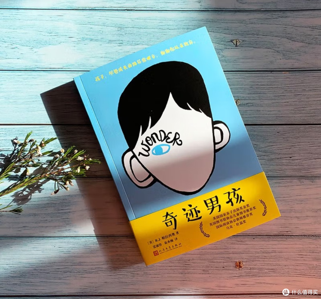 读《奇迹男孩》:给孩子的成长课,藏在疤痕背后的勇气与善良