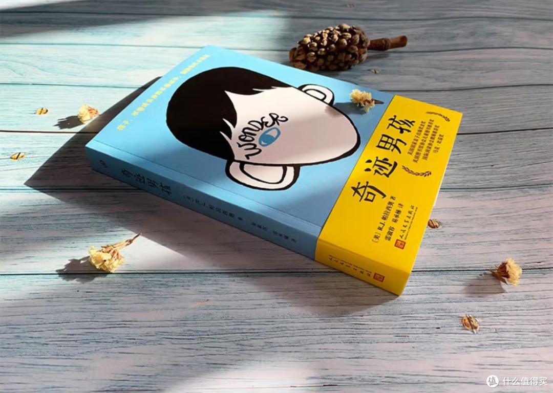 读《奇迹男孩》:给孩子的成长课,藏在疤痕背后的勇气与善良