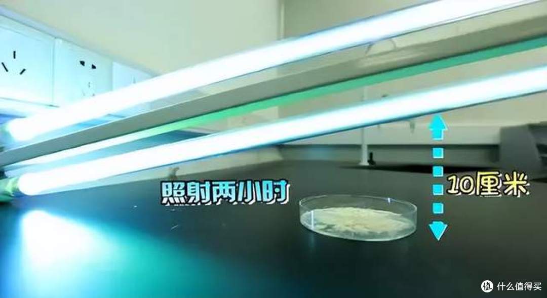 卧室如何除螨？揭秘几种常见除螨方式，学会了轻松告别螨虫！