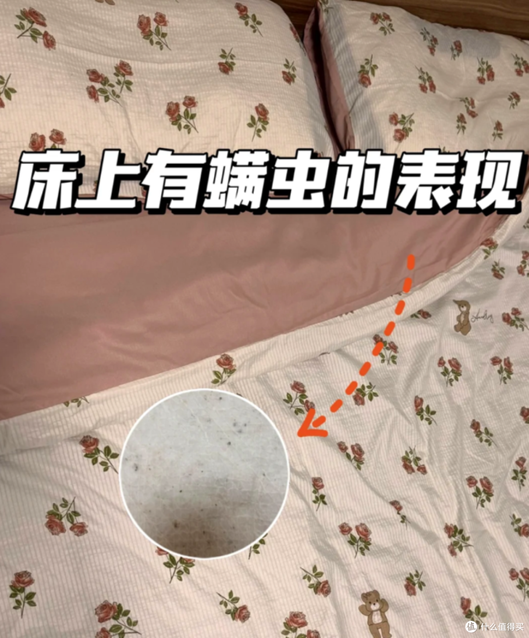 卧室如何除螨？揭秘几种常见除螨方式，学会了轻松告别螨虫！