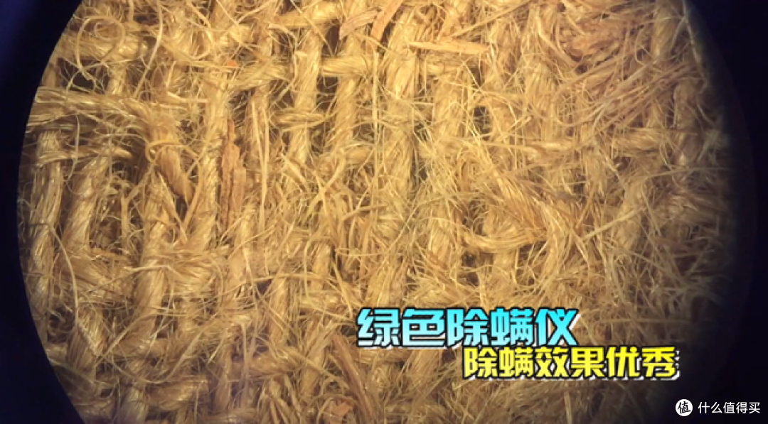 卧室如何除螨？揭秘几种常见除螨方式，学会了轻松告别螨虫！