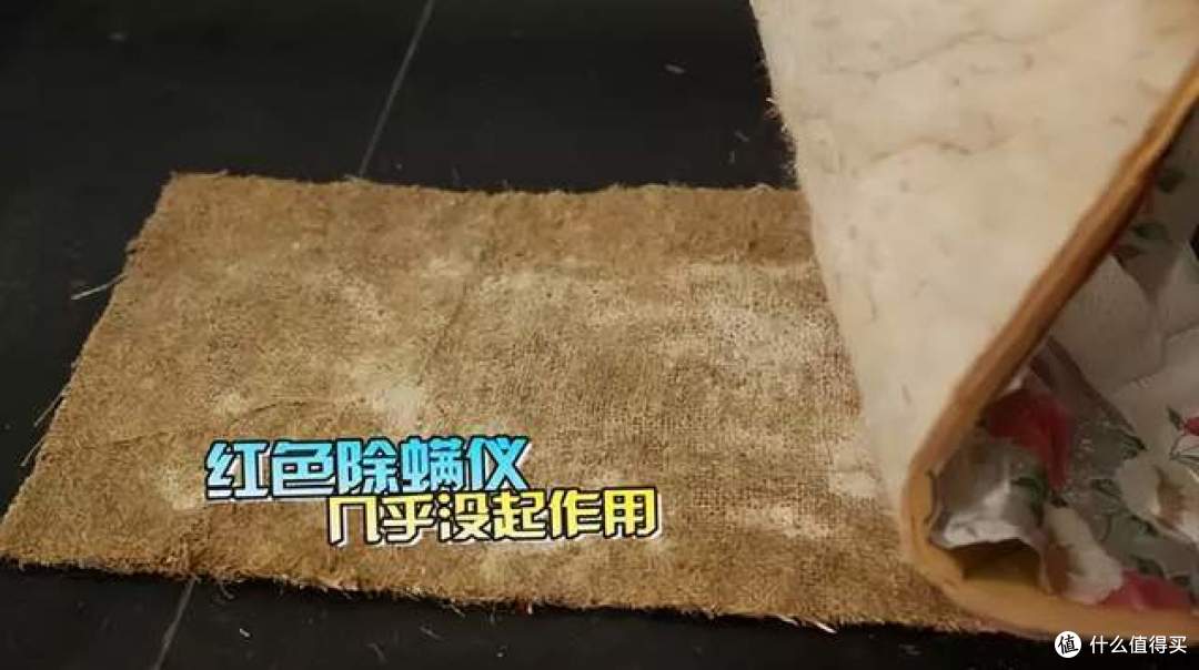 卧室如何除螨？揭秘几种常见除螨方式，学会了轻松告别螨虫！